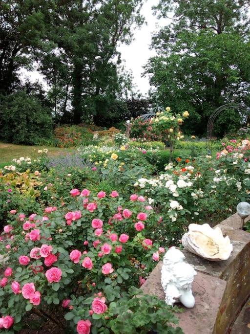 Ferienhaus Rosengarten Loxstedt Luaran gambar